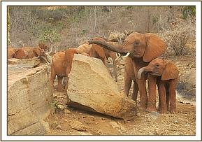 Sinya, Mudanda and Wasessa exploring