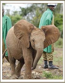 Lempaute near her keepers