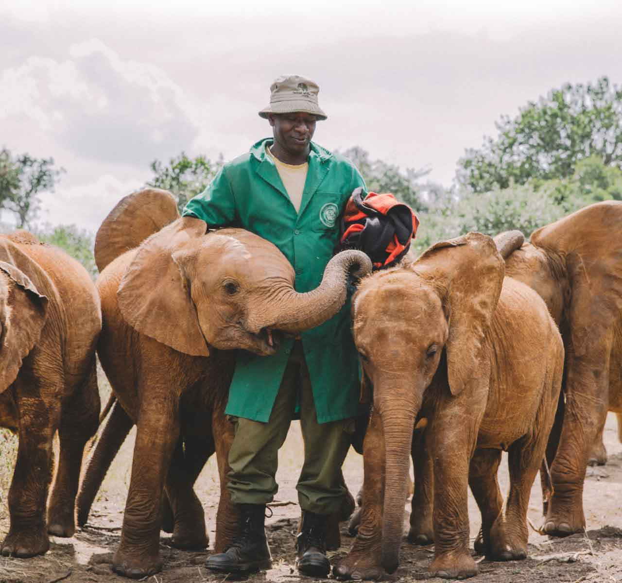 Donation to the Sheldrick Wildlife Trust in somebody's honor